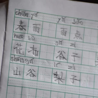 Can China Balance Between Languages and Reunification?