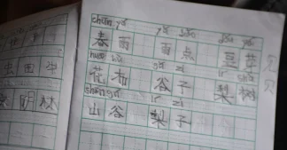 Can China Balance Between Languages and Reunification?